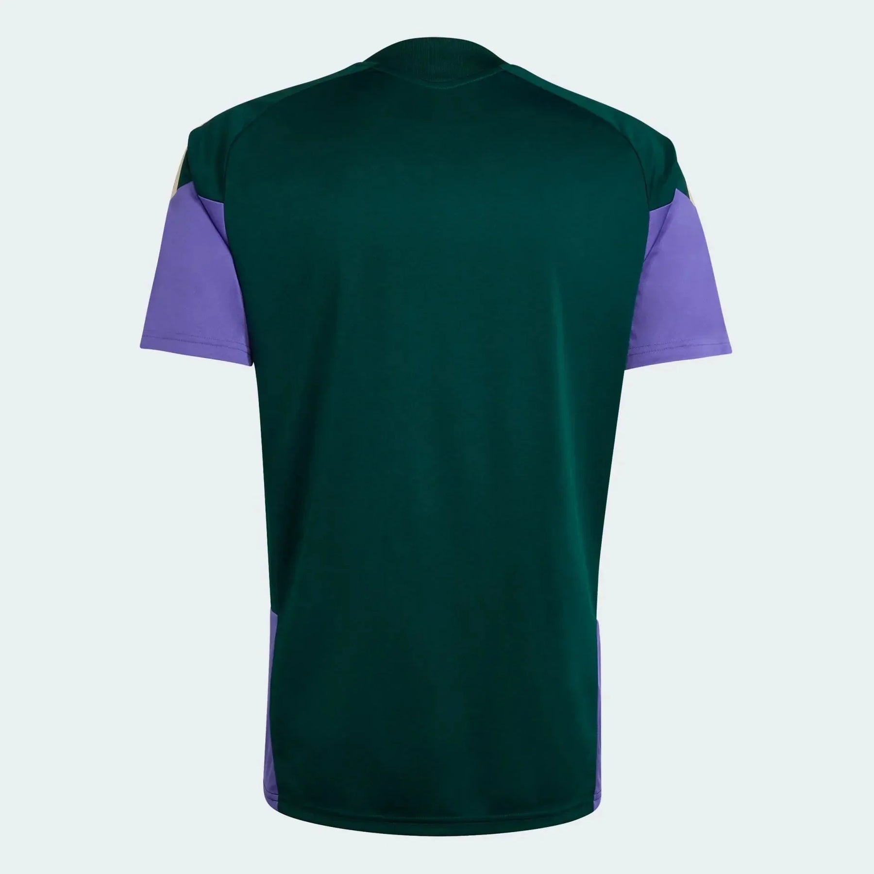 Playera Arabia Saudita 2026 Entrenamiento Mundial